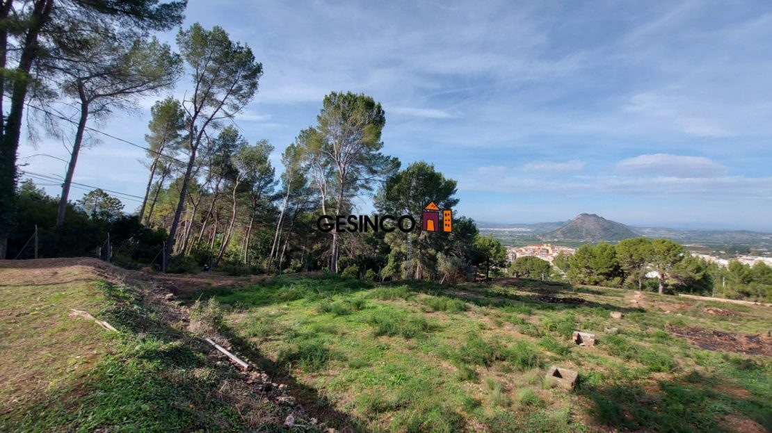 video image