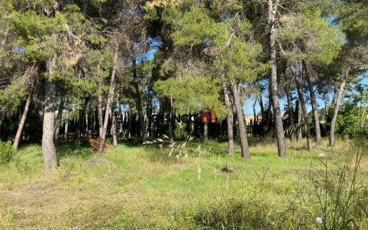 TERRENO EN VENTA JUNTO A LA URBANIZACION LAS AGUAS Y LA PUREZA