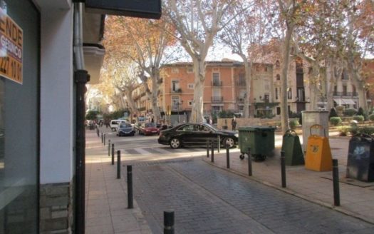 LOCAL COMERCIAL REFORMADO, CÉNTRICO Y CON MUCHO ENCANTO