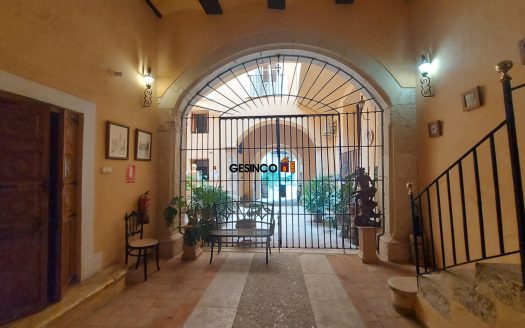 CASA HISTÓRICA CÉNTRICA, REFORMADA!! CON PATIO, TERRAZAS, JARDIN, PISCINA Y CON GARAJES!!