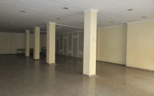 LOCAL COMERCIAL CÉNTRICO