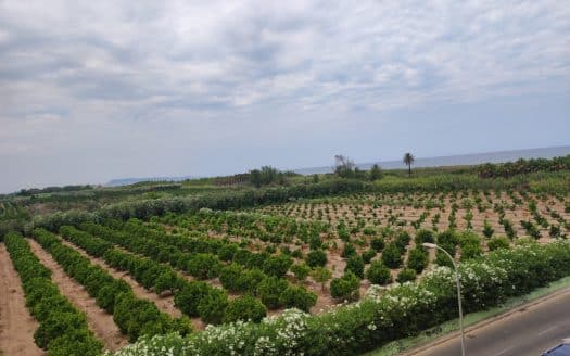 Apartamento playa de Gandia