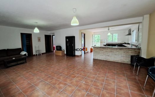 CHALET EN PARCELA RÚSTICA EN LA ZONA DE PINO CHICO