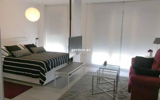ESTUDIO TIPO LOFT CON PLAZA DE GARAJE